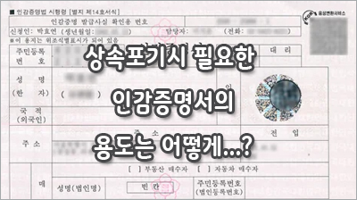 ��������-�ΰ��������뵵.jpg